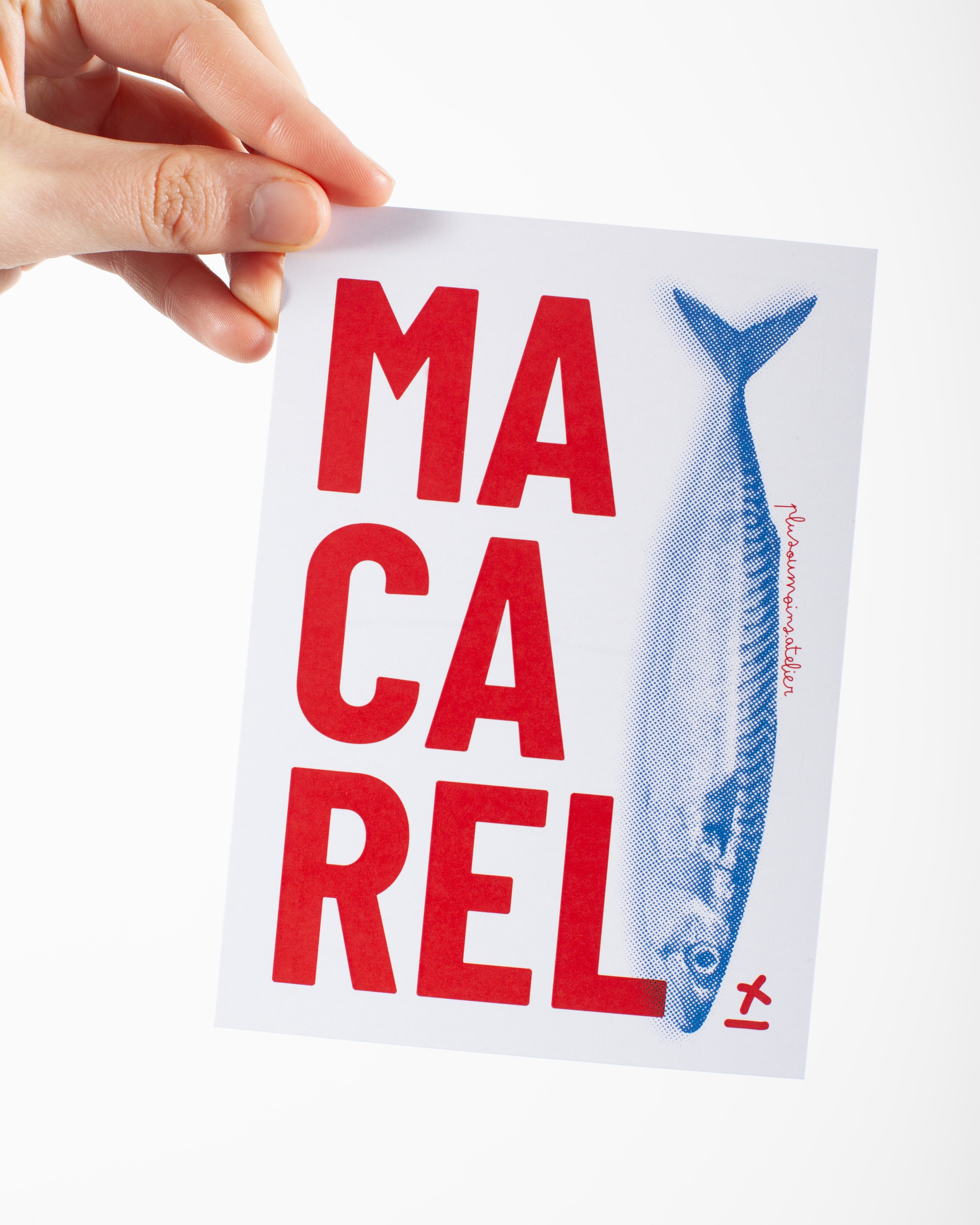 MACAREL • Carte postale